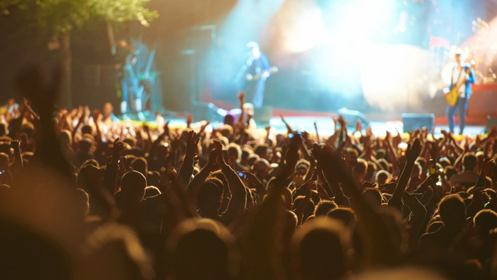 Crowd at live concert