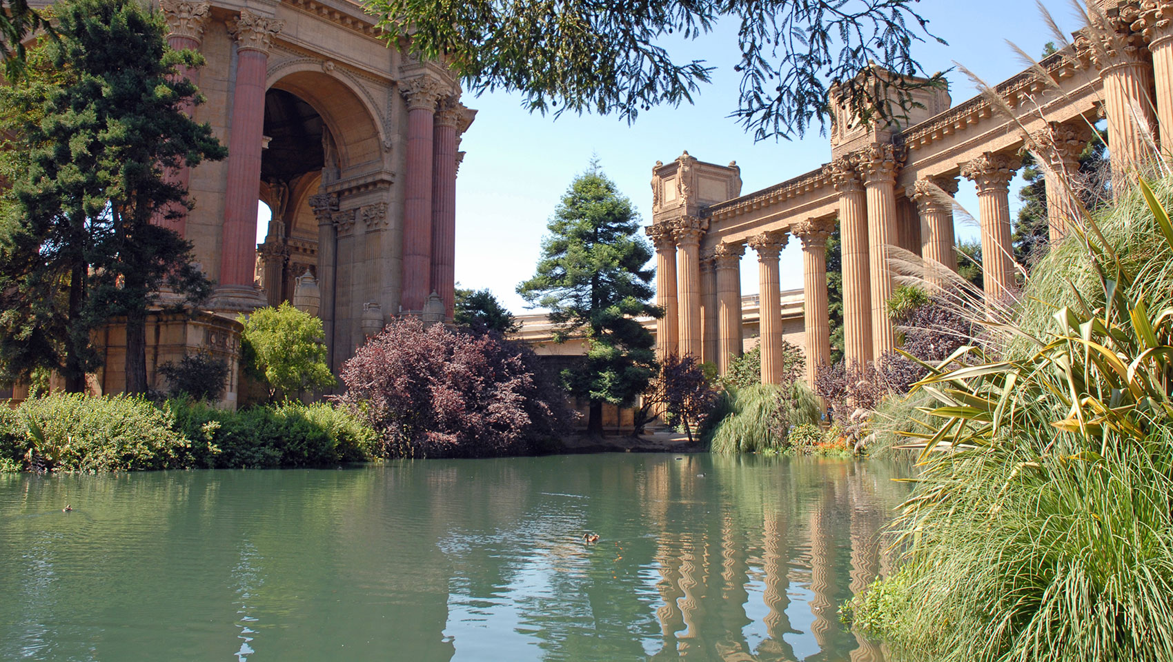 palace of fine arts san francisco