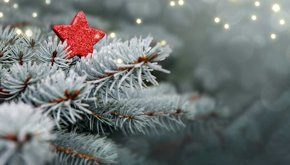 Pine tree brand with sparkly red star