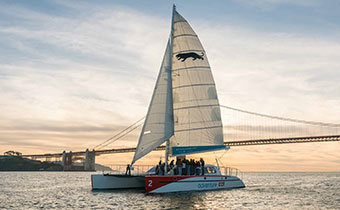 Sailboat on the water