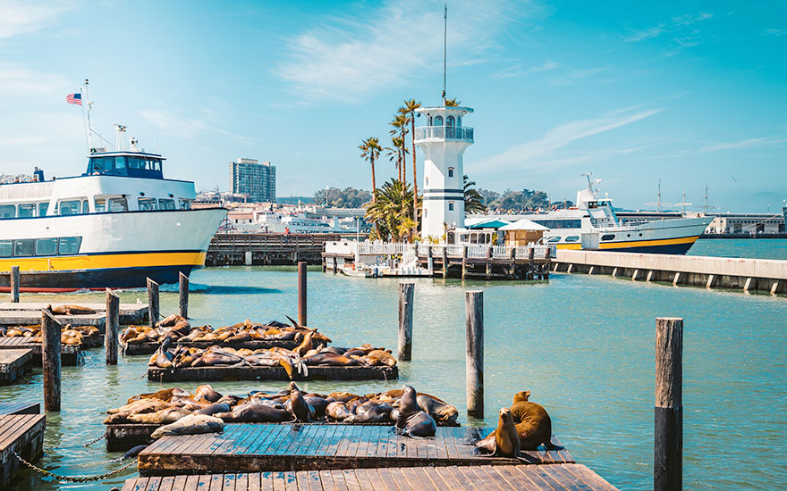 Pier 39