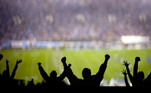 Fans cheering at a live sports event
