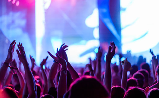 crowd at live show