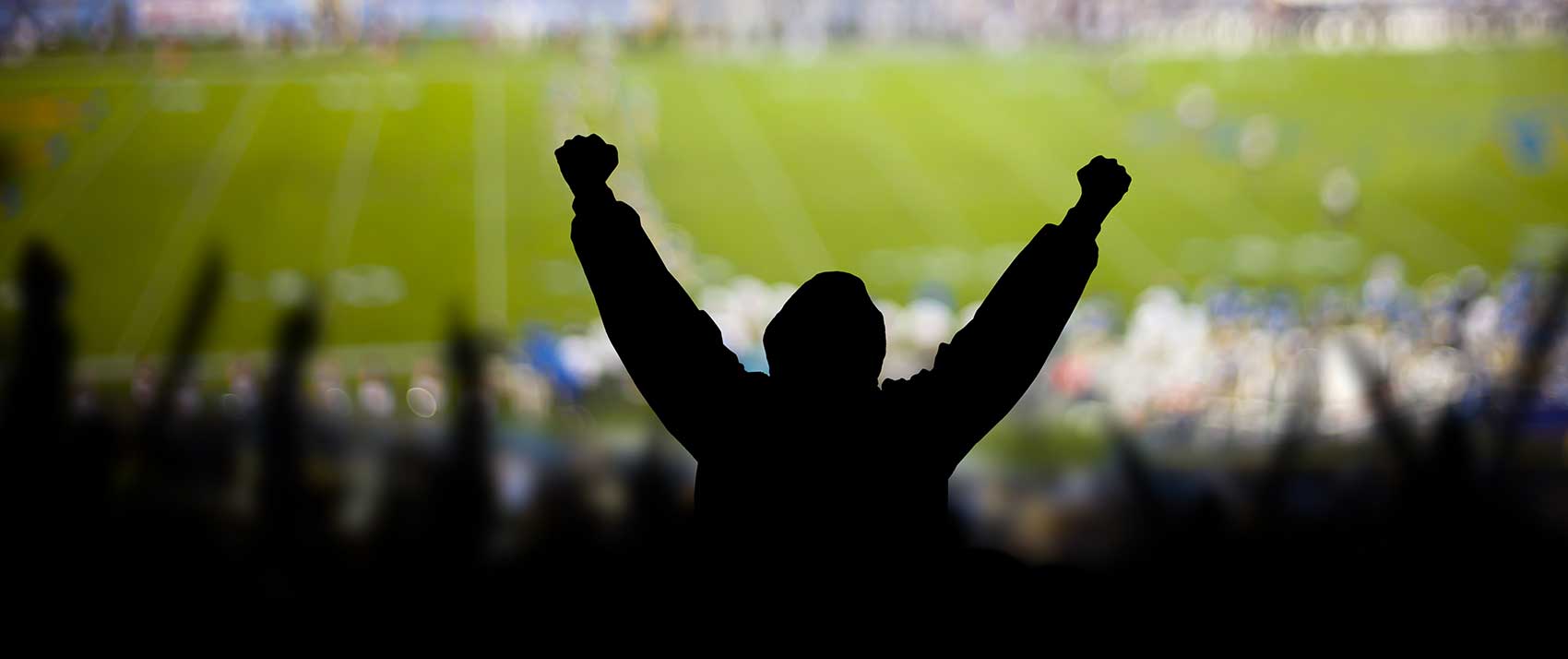 Fan cheering at stadium