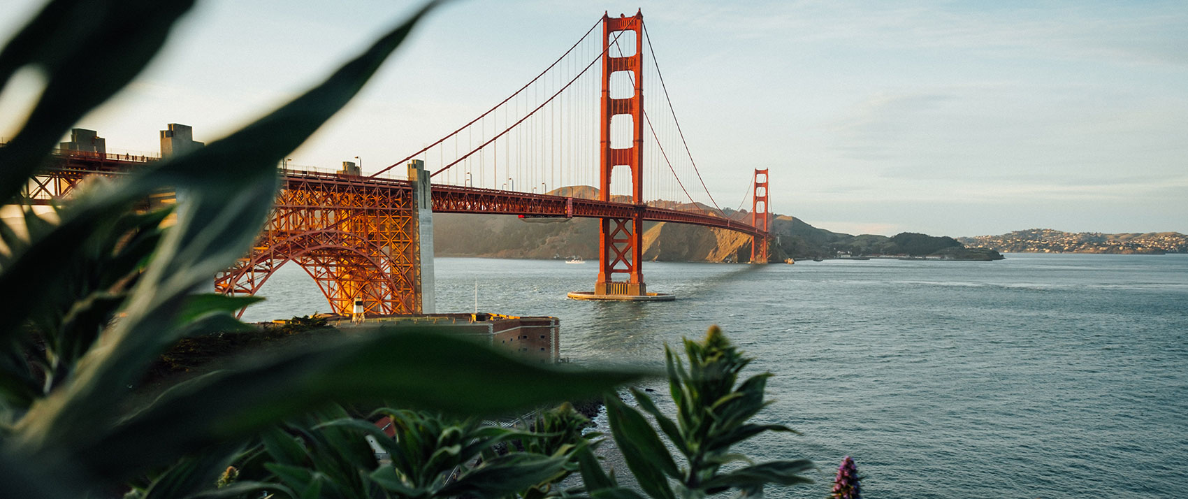 View of the Golden Gate Bridge